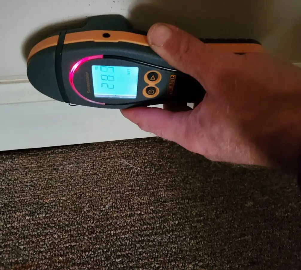 Moisture detection at baseboard during Mold Inspection & Testing in Newman